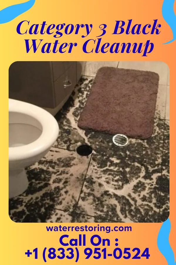 Category 3 Black Water Cleanup in Mount Vernon, OH