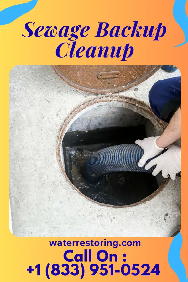Sewage Backup Cleanup in Mount Vernon, OH