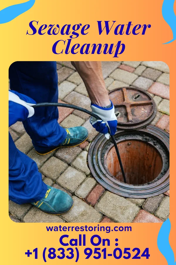 Sewage Water Cleanup in Mount Vernon, OH